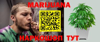 кокс Гатчина