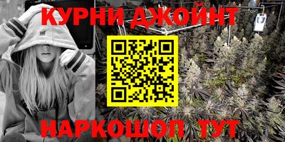 кокс Гатчина