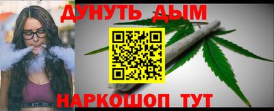 кокс Гатчина