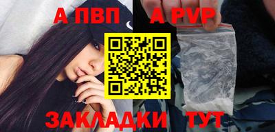 кокс Гатчина