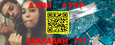 кокс Гатчина