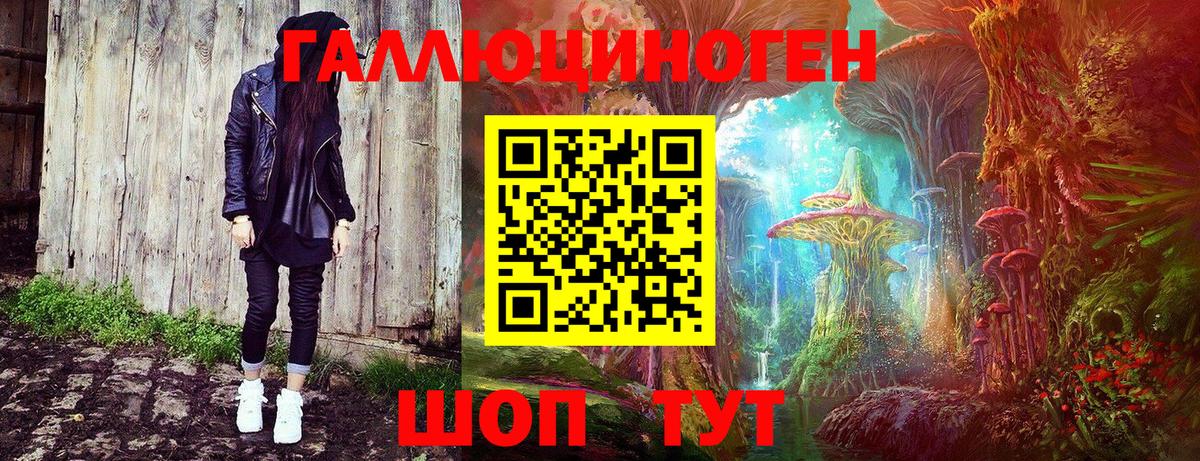 Псилоцибиновые грибы Psilocybe Долгопрудный
